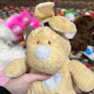 Meet your Posher, Lilly